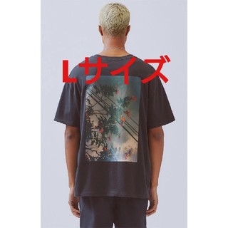 フィアオブゴッド(FEAR OF GOD)のEssentials Boxy Photo Series T-Shirt L(Tシャツ/カットソー(半袖/袖なし))