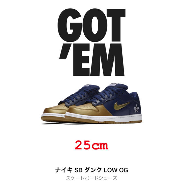 supreme NIKE SB DUNK Low靴/シューズ