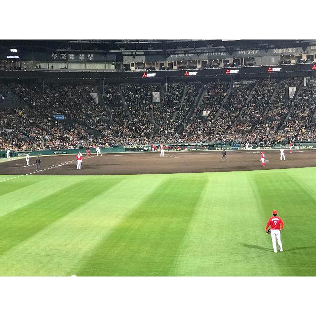9/29(日)【阪神タイガース 甲子園】対中日戦 ライト17段2連番 www ...
