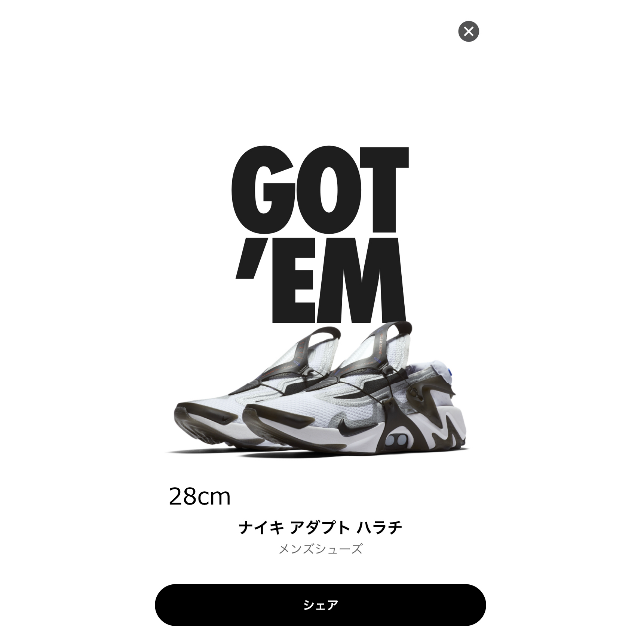 nike【新品未使用】NIKE ADAPT ハラチ(ナイキ アダプトハラチ)