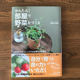 かんたん！部屋で野菜をつくる(ビジネス/経済)