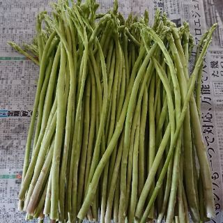 えいたん様専用(佐賀県産グリーンアスパラ 2箱)(野菜)