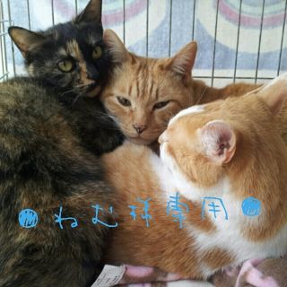 ●ねむ様専用●(カチューシャ)