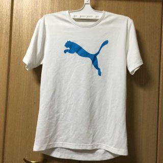 プーマ(PUMA)のpuma　Tシャツ　サイズL(Tシャツ/カットソー(半袖/袖なし))