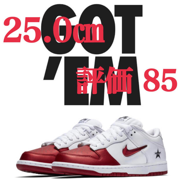25.0㎝ Supreme Nike SB Dunk Low White