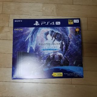 プレイステーション4(PlayStation4)のPlayStation4pro momo様専用(家庭用ゲーム機本体)