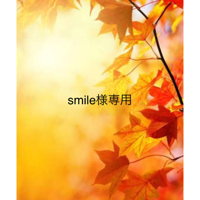 smile様専用 注目ブランドのギフト www.toyotec.com