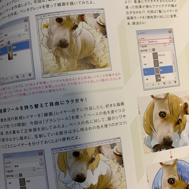 GIMPのドリル！フォトショがなくても生きていけるさ！！ エンタメ/ホビーの本(コンピュータ/IT)の商品写真