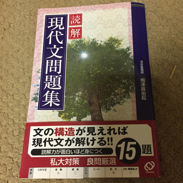 oreo様専用 読解現代文問題集 エンタメ/ホビーの本(語学/参考書)の商品写真