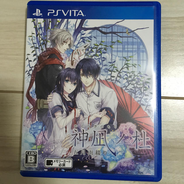 PlayStation Vita(プレイステーションヴィータ)の神凪ノ杜 五月雨綴り エンタメ/ホビーのゲームソフト/ゲーム機本体(携帯用ゲームソフト)の商品写真