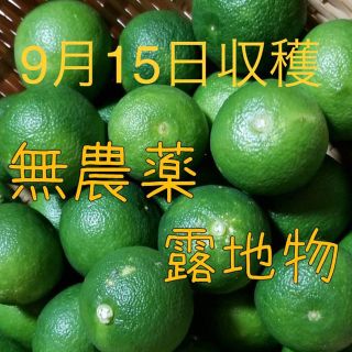 無農薬 露地物 すだち スダチ 佐賀県産 1.0㎏(フルーツ)