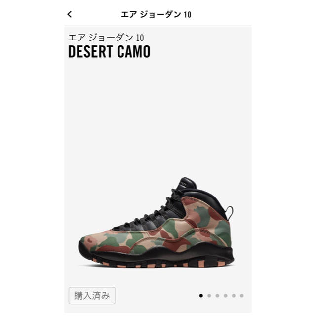 ナイキ エアジョーダン10  デザートカモ DESERT CAMO 27cm