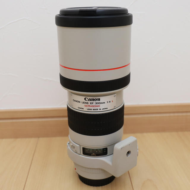 Canon EF 300mm F4 L USM