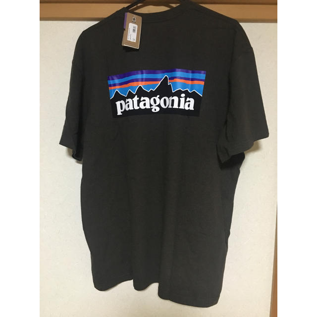 patagonia(パタゴニア)の国内未入荷 新品タグ付 パタゴニア レスポンシビリティーTシャツ ロゴ L メンズのトップス(Tシャツ/カットソー(半袖/袖なし))の商品写真