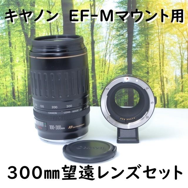 キヤノン純正マウントアダプターEF-EOS Mと300望遠レンズセット