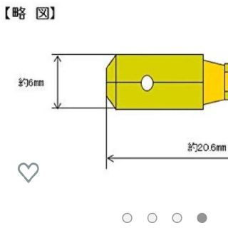 エーモン 平型端子(オス) 250型  １０個入り(汎用パーツ)