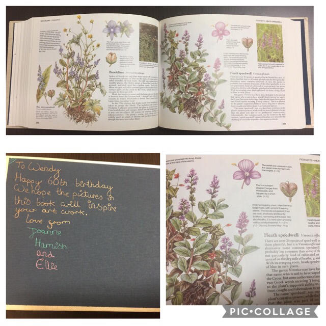 Wild Flowers ワイルドフラワー ボタニカル 洋書 古書 植物図鑑の通販 By やまひろ S Shop ラクマ