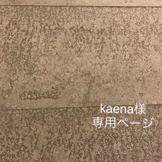 kaena様 専用ページ(ピアス)