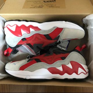 ミズノ(MIZUNO)のmizuno wave rider 29 kazoku(スニーカー)