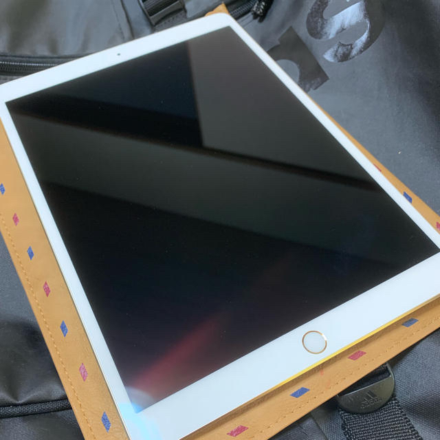 【美品】iPad Pro10.5 256GB wifiモデル