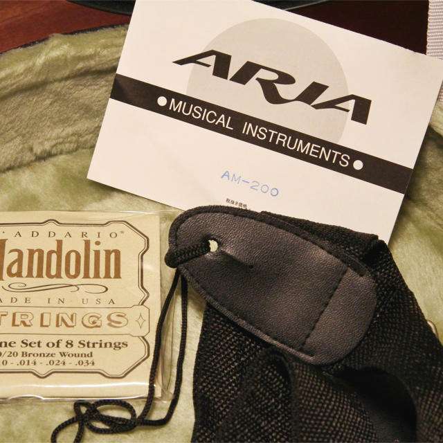 マンドリン ARIA AM-200 楽器の弦楽器(マンドリン)の商品写真