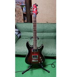 アイバニーズ(Ibanez)の〔専用〕Ibanez Gioシリーズ ストラトキャスター(エレキギター)