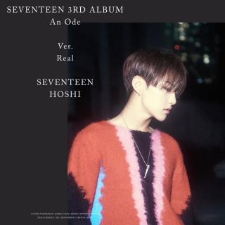 セブンティーン(SEVENTEEN)のキャロット様専用(うちわ)