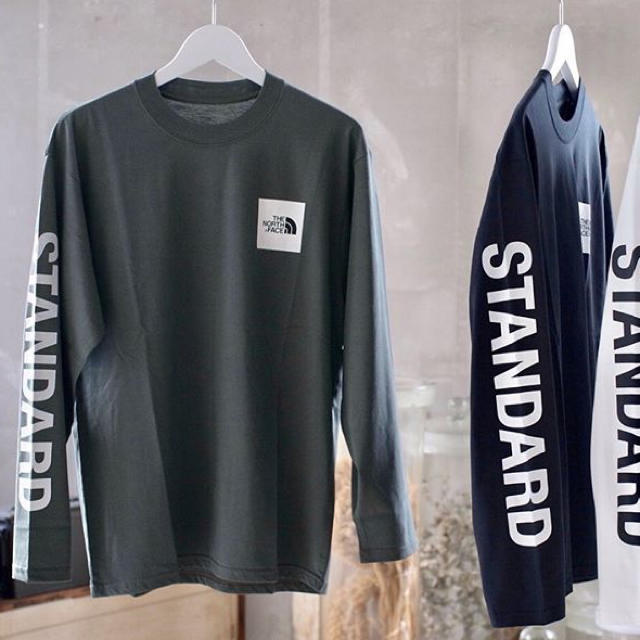 THE NORTH FACE - thenorthface standard スタンダード ロンT 2019 新