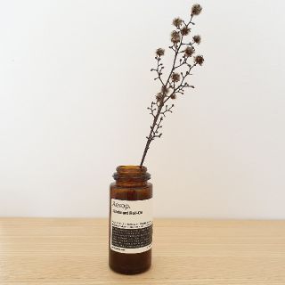 イソップ(Aesop)のaesop 　イソップ　インテリア　花瓶　空き瓶　ラベル　瓶　ミニマリスト　(置物)