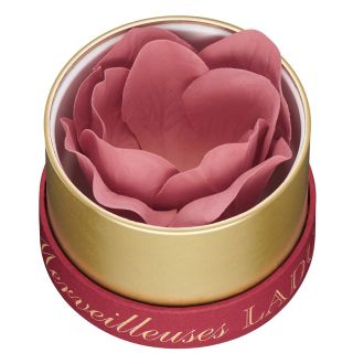 レメルヴェイユーズラデュレ(Les Merveilleuses LADUREE)の【限定品】ラデュレ ローズ チーク(チーク)