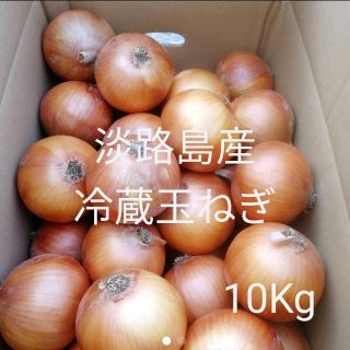 ★淡路島冷蔵玉ねぎ★Mサイズ10Kg (野菜)