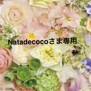 Natadecocoさま専用ページ♡(つけ爪/ネイルチップ)