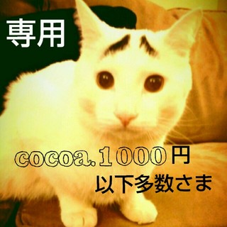 エイチアンドエム(H&M)の『cocoa.1000円以下多数』様専用(ノーカラージャケット)