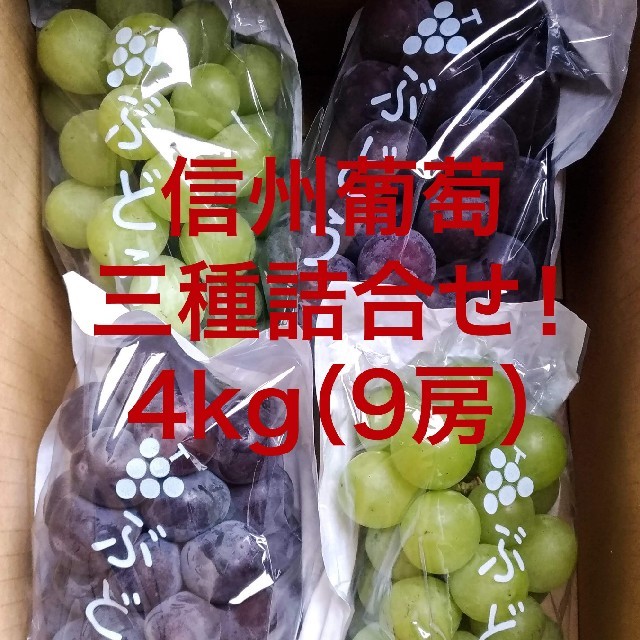 信州葡萄詰合せ　巨峰　黄甘　ピオーネ　種無し　4kg(9房) ブドウ ぶどう