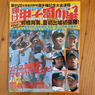 【専用】輝け甲子園の星 2013年 09月号 (趣味/スポーツ)