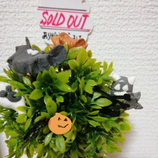 ハロウィン　かくれんぼ　おまけ→かほちゃ(インテリア雑貨)