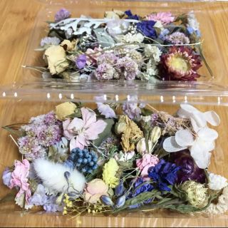 ドライフラワー 花びら ポロポロ 花材 ハンドメイド(ドライフラワー)