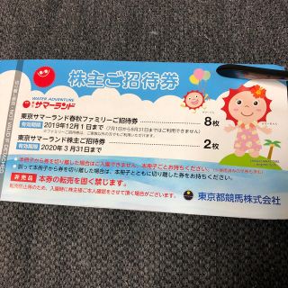 ミッキー様専用 サマーランド 株主優待 一枚(プール)