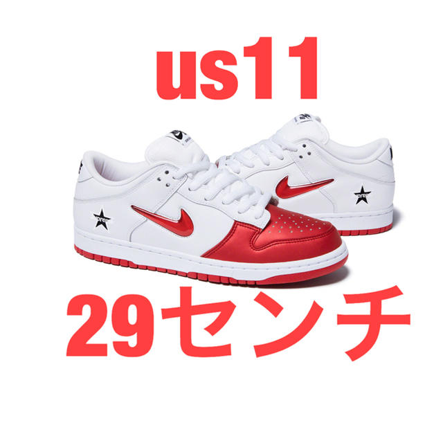 19aw Supreme Nike SB Dunk Low  29センチ