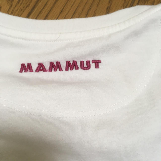 Mammut(マムート)のマムートＴシャツ レディースのトップス(Tシャツ(半袖/袖なし))の商品写真