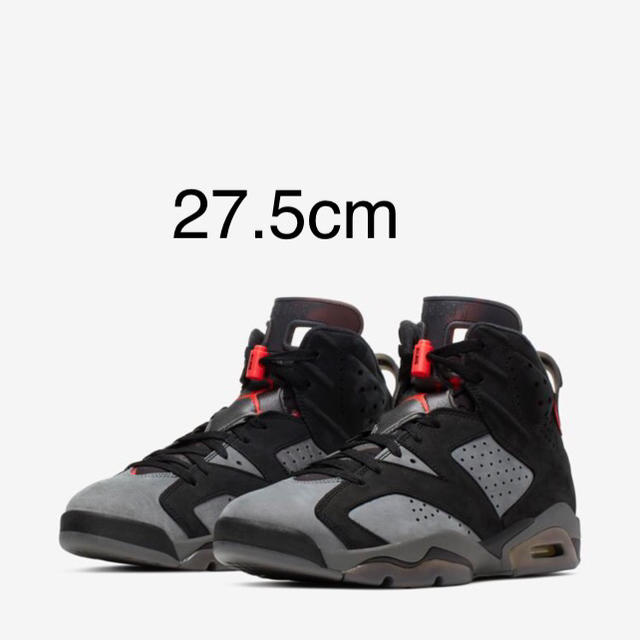 27.5cm  NIKE JORDAN6 PSG