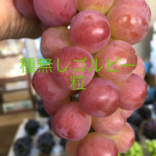 山梨県勝沼産 種無しゴルビー   1kg   粒 (フルーツ)