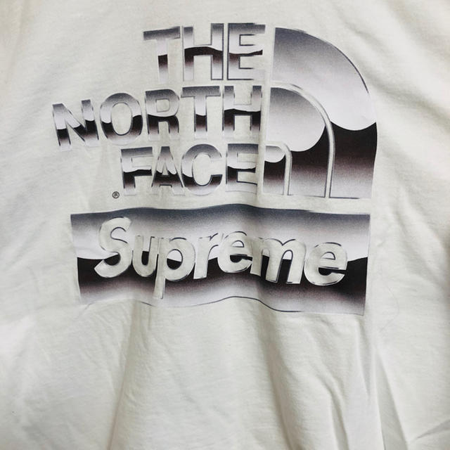 supreme THE NORTH FACE Metallic Logo Tee