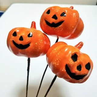 《資材》pumpkin. かぼちゃ(その他)