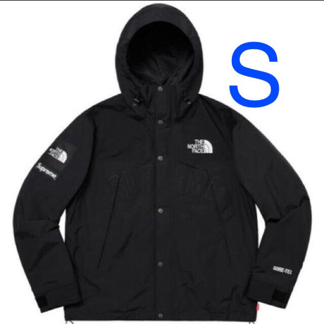 Supreme®/The North Face® Mountain Parka