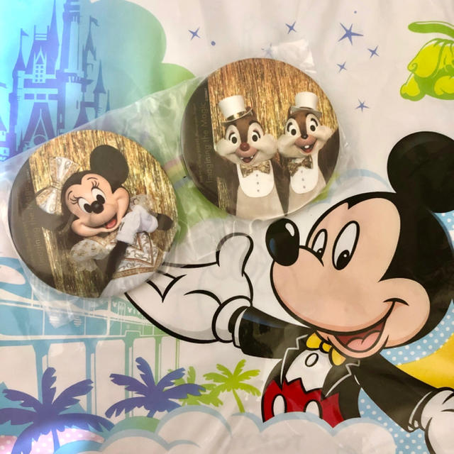 Disney(ディズニー)のワンマンズドリーム カプセルトイ ミニー&チデ エンタメ/ホビーのおもちゃ/ぬいぐるみ(キャラクターグッズ)の商品写真