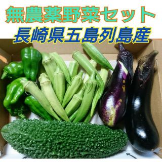 無農薬❗新鮮野菜セット(コンパクトbox) ラインナップのご確認を❗五島列島産(野菜)