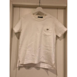 サイ(Scye)のSCYE BASIC Tシャツ(Tシャツ(半袖/袖なし))