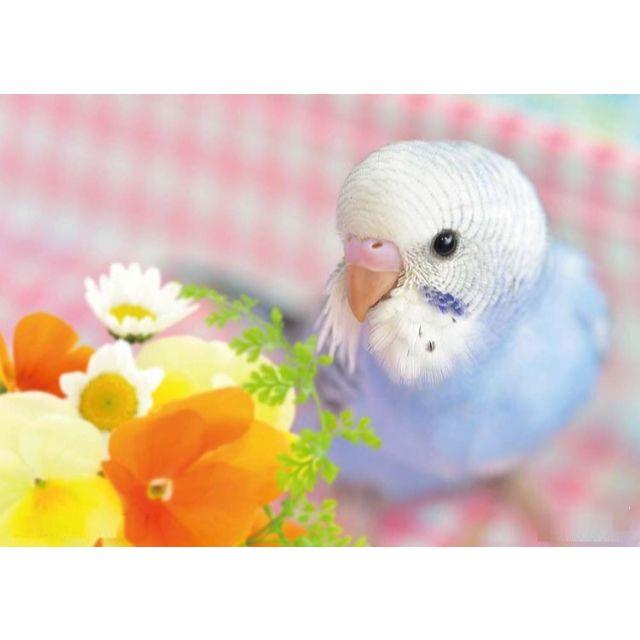 ちびはな0563 様専用 ２羽のインコと１羽のインコ ２点 ダイヤモンドアートの通販 By フリリン Shop ラクマ