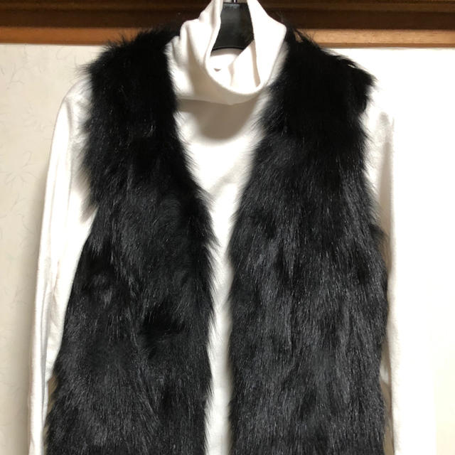 フォックスベスト レディースのジャケット/アウター(毛皮/ファーコート)の商品写真